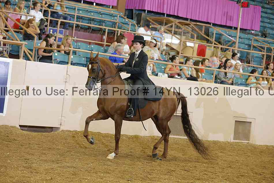 Proof 14yn_13026