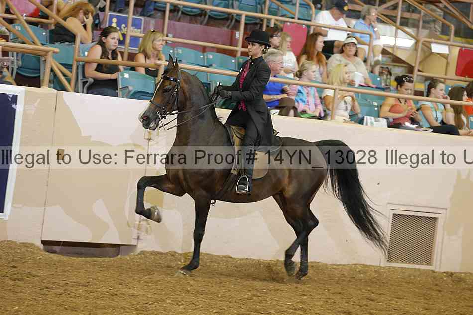 Proof 14yn_13028