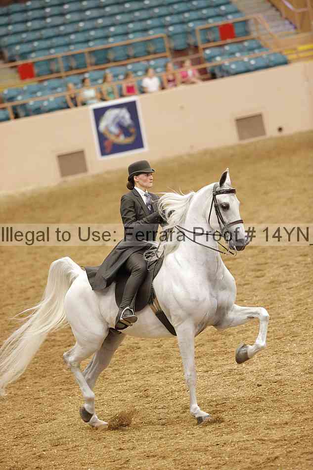 Proof 14yn_13029