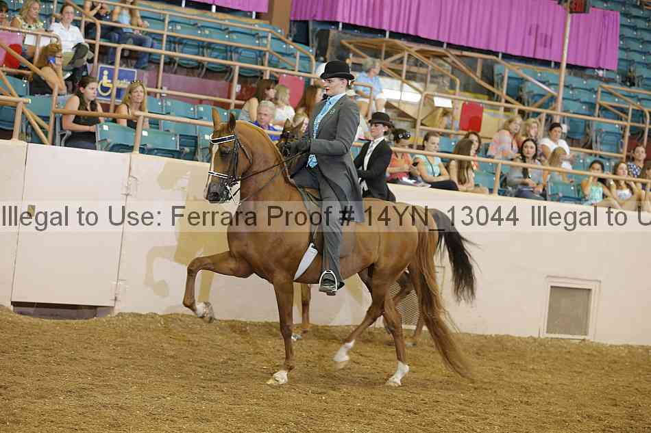 Proof 14yn_13044