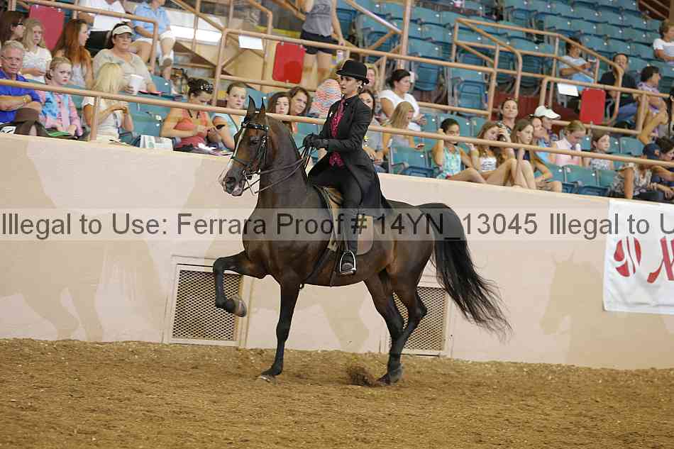 Proof 14yn_13045