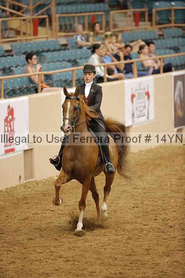 Proof 14yn_13046