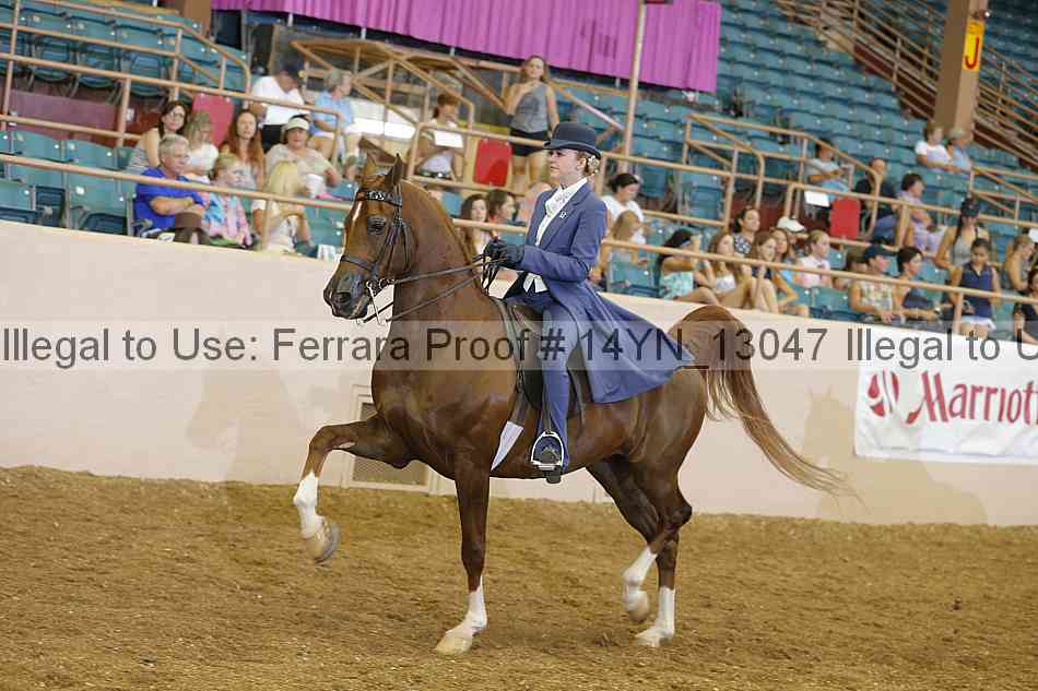 Proof 14yn_13047