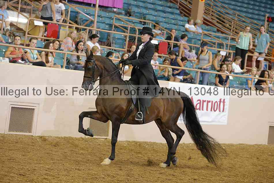 Proof 14yn_13048