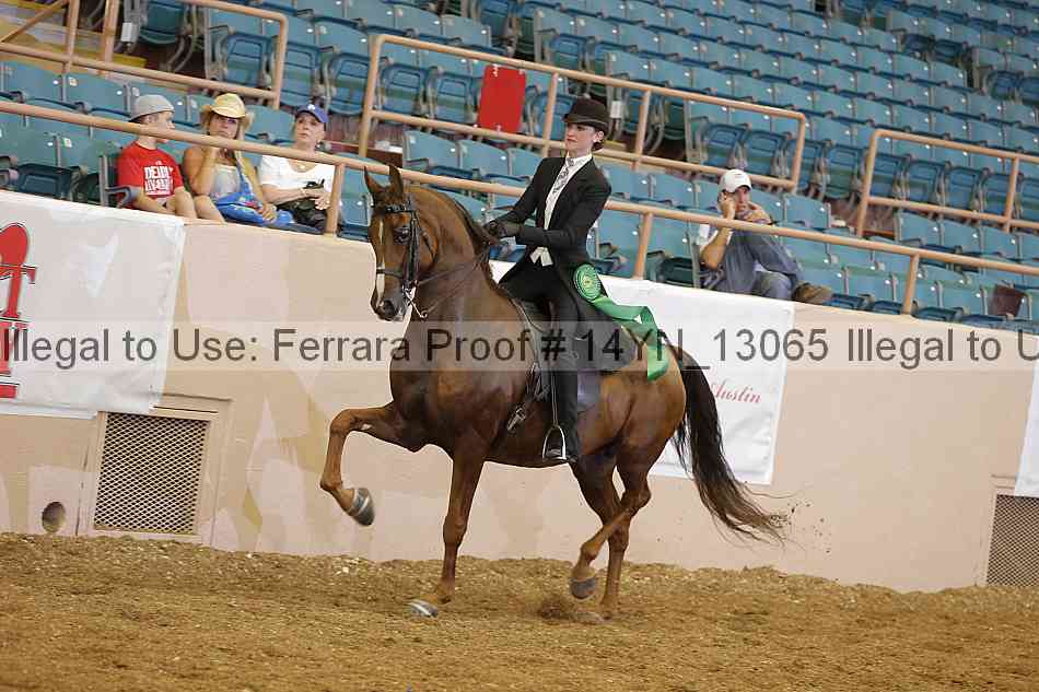 Proof 14yn_13065