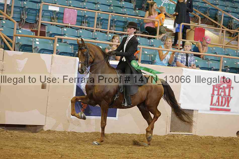 Proof 14yn_13066