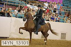 14yn_13101 proof
