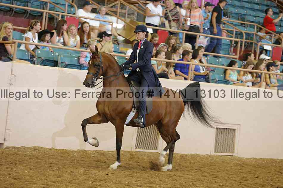 Proof 14yn_13103