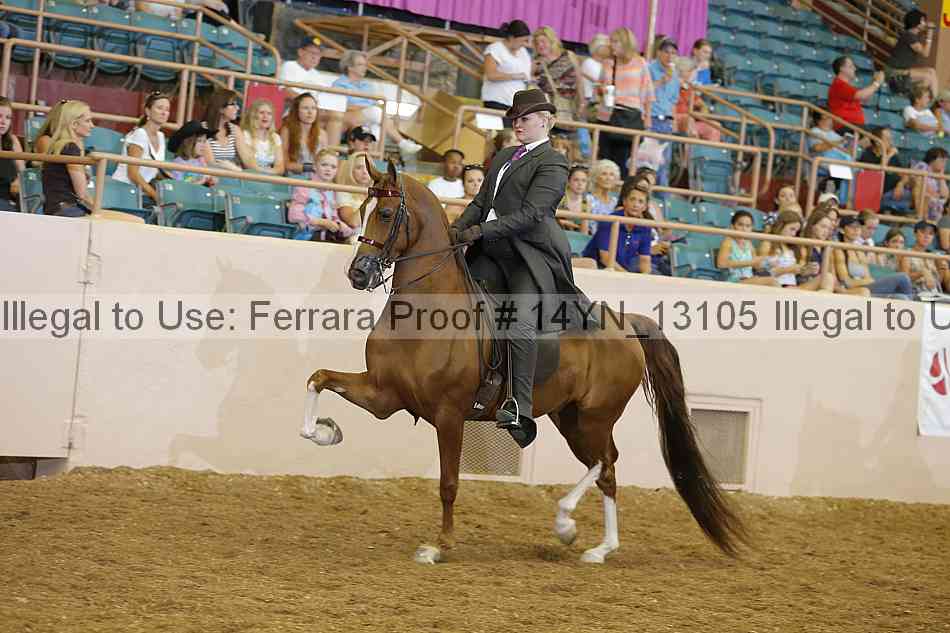 Proof 14yn_13105
