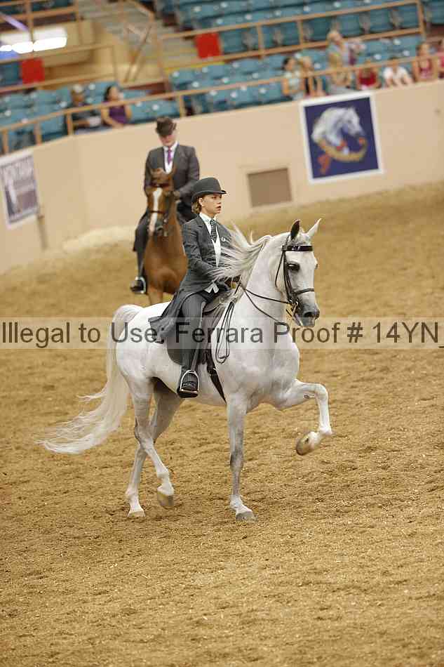 Proof 14yn_13116