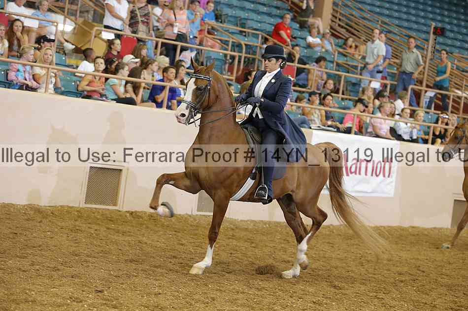 Proof 14yn_13119