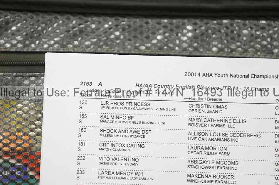 Proof 14yn_16493