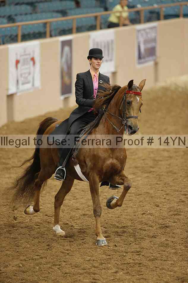Proof 14yn_16496