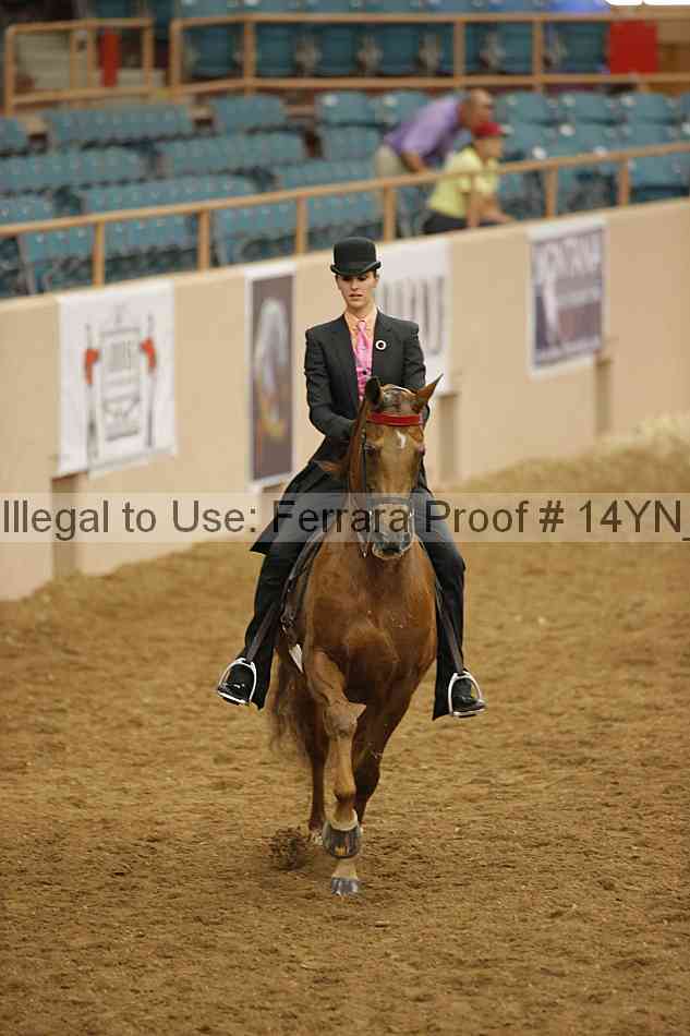 Proof 14yn_16508