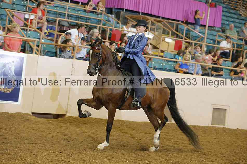 Proof 14yn_16533