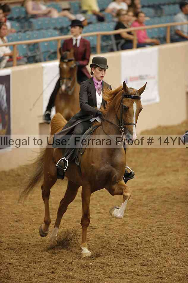 Proof 14yn_16534