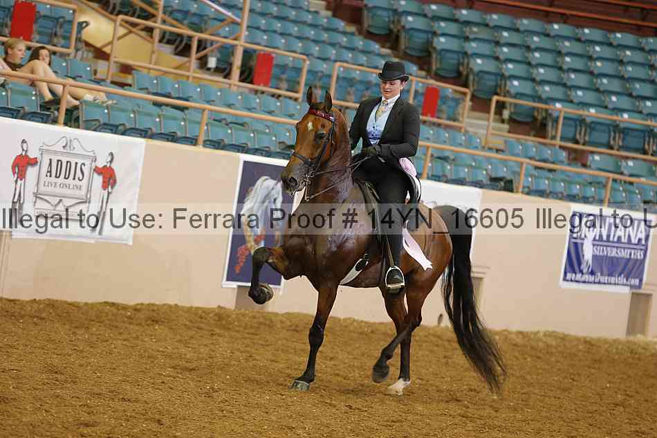 Proof 14yn_16605