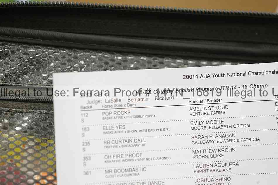 Proof 14yn_16619
