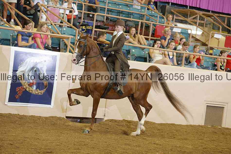 Proof 14yn_26056