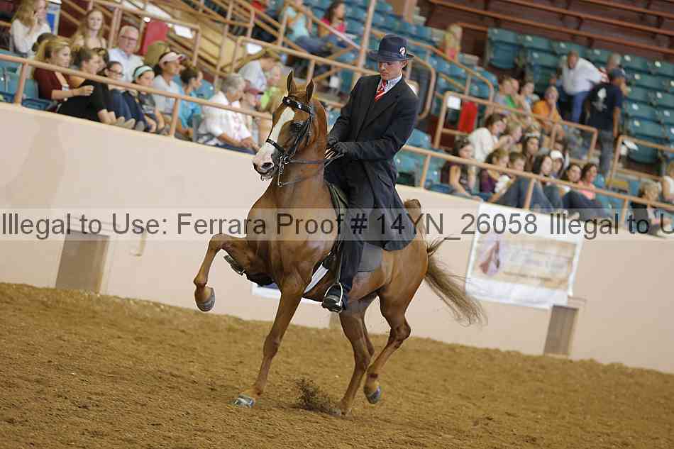 Proof 14yn_26058