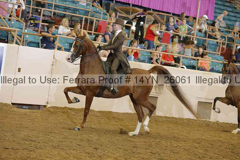 Proof 14yn_26061