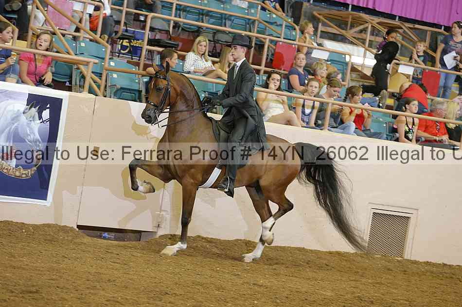 Proof 14yn_26062