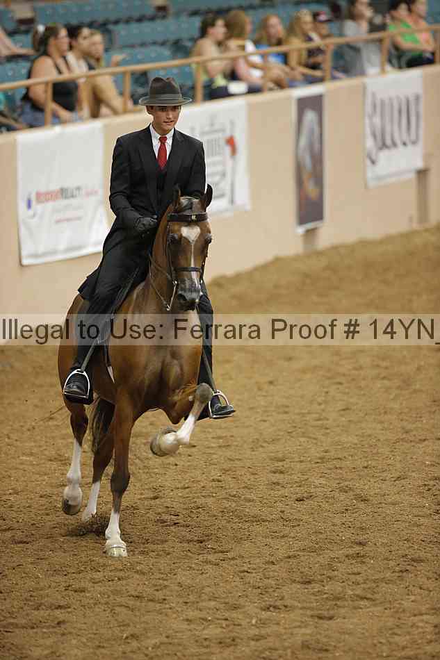 Proof 14yn_26063