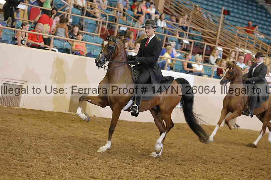 Proof 14yn_26064