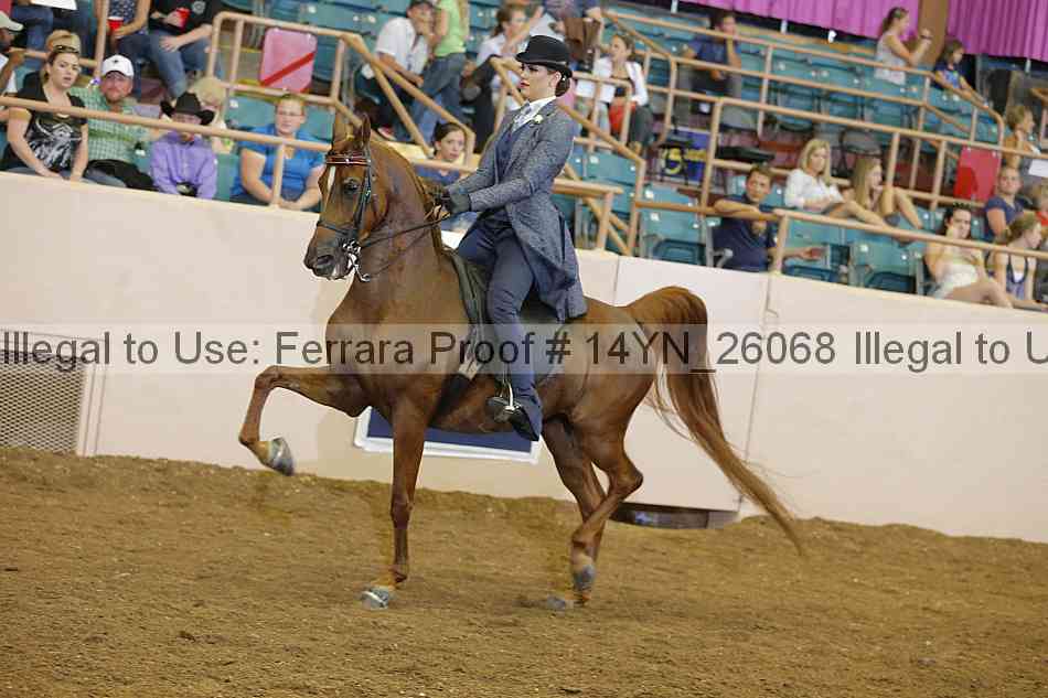 Proof 14yn_26068
