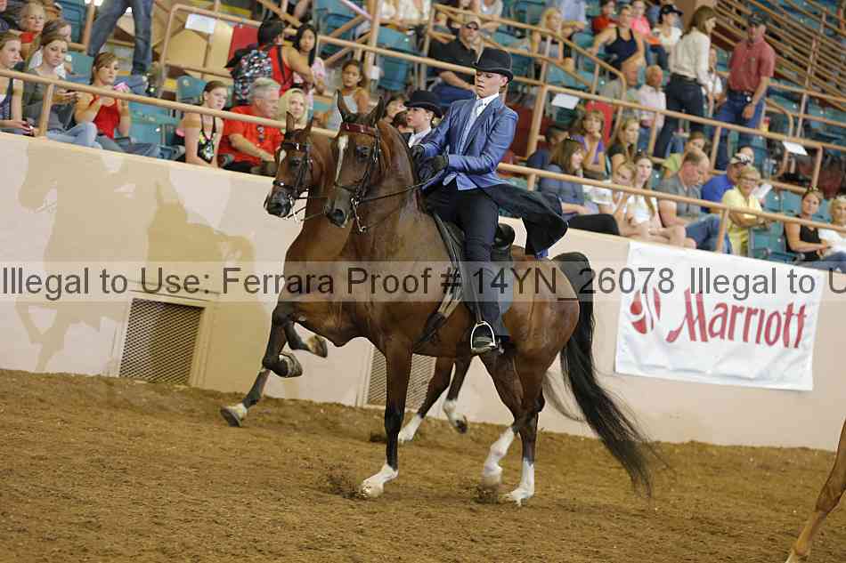 Proof 14yn_26078