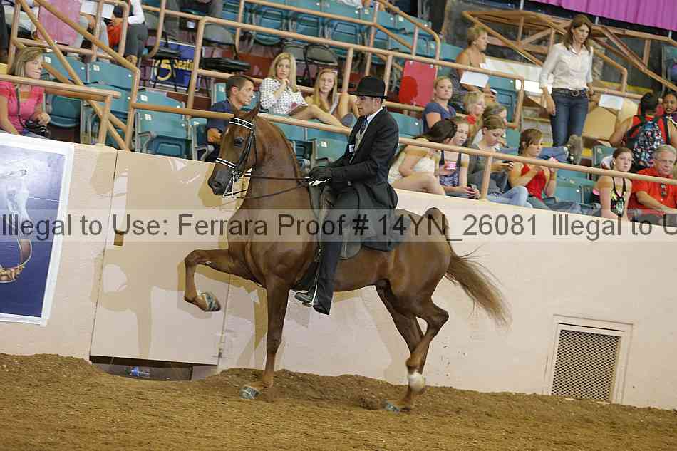 Proof 14yn_26081