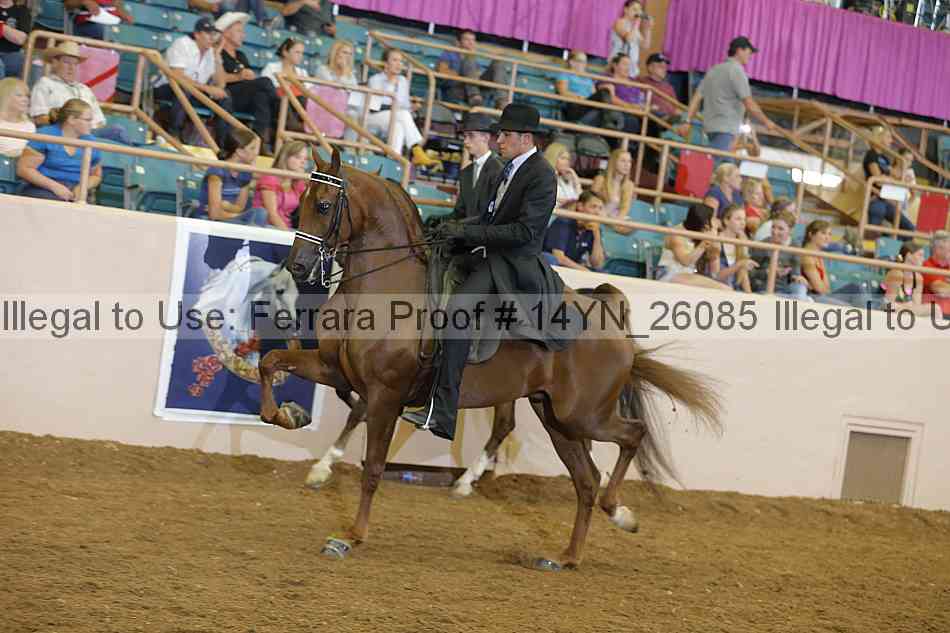 Proof 14yn_26085