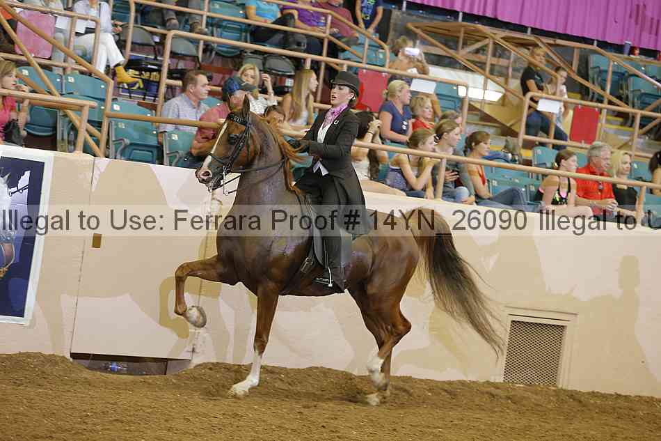 Proof 14yn_26090