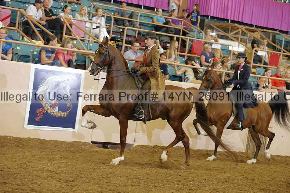Proof 14yn_26091