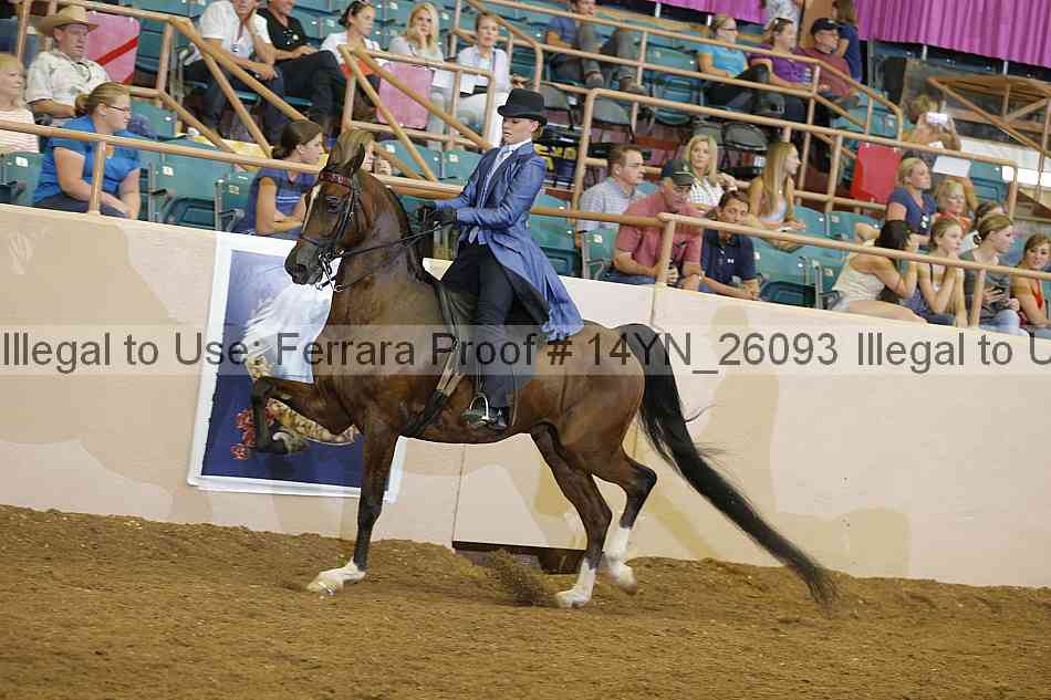 Proof 14yn_26093