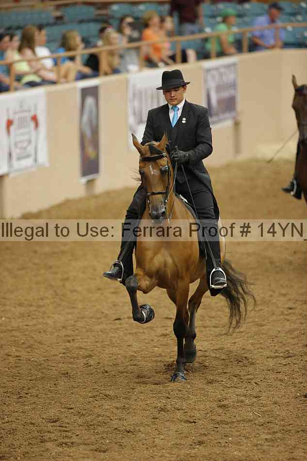 Proof 14yn_26095