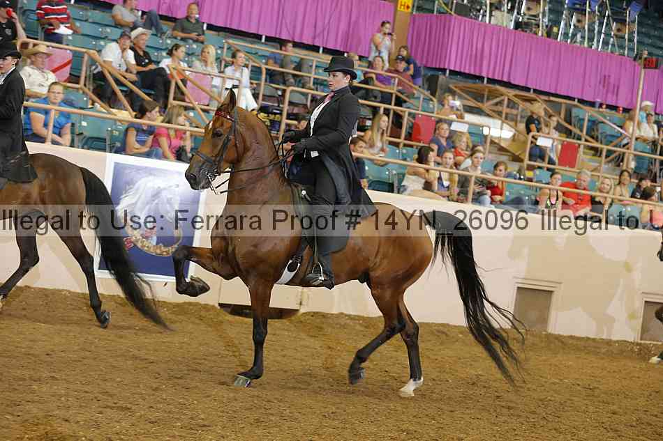 Proof 14yn_26096