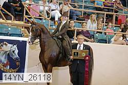14yn_26118 proof