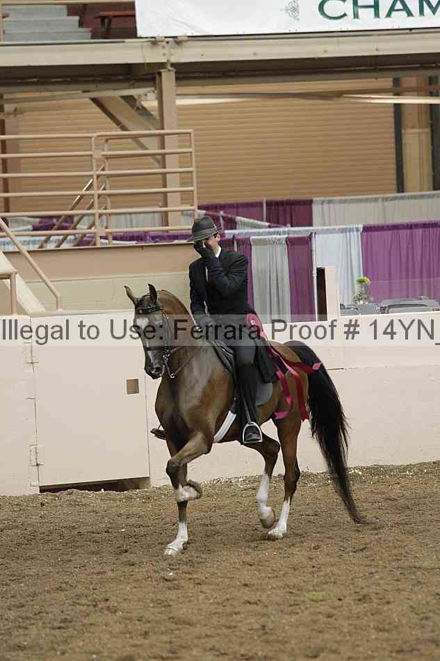 Proof 14yn_26157
