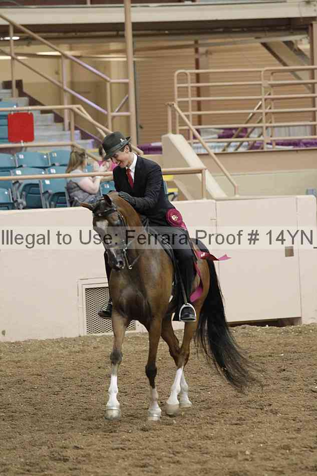Proof 14yn_26160