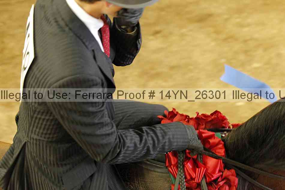 Proof 14yn_26301