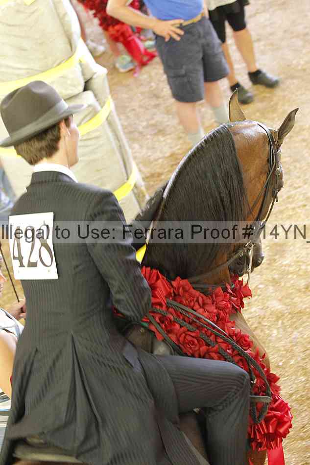 Proof 14yn_26304