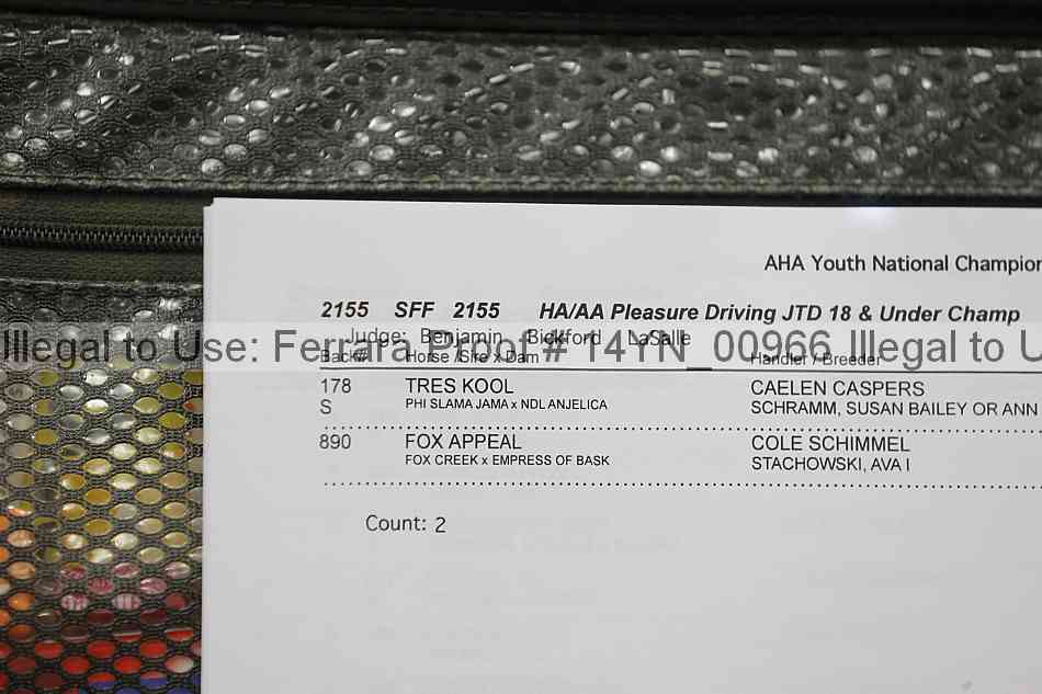 Proof 14yn_00966