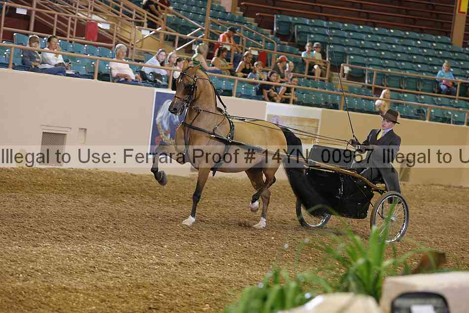 Proof 14yn_00967