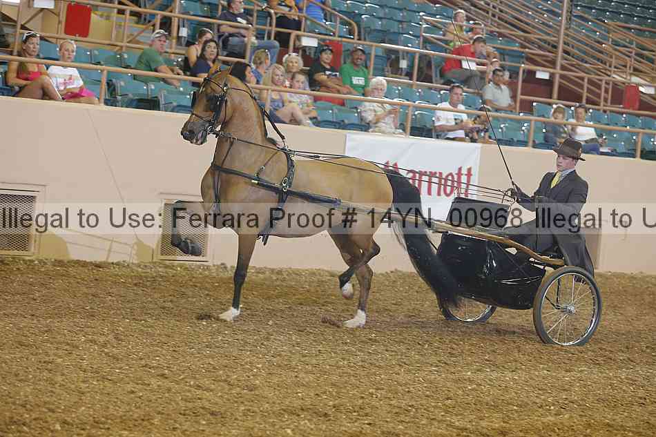 Proof 14yn_00968