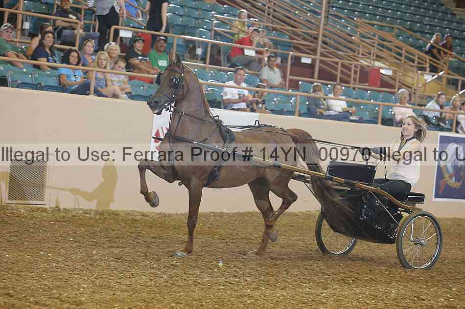 Proof 14yn_00970