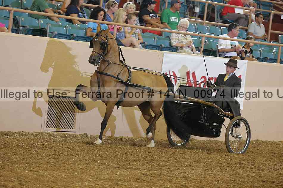 Proof 14yn_00974