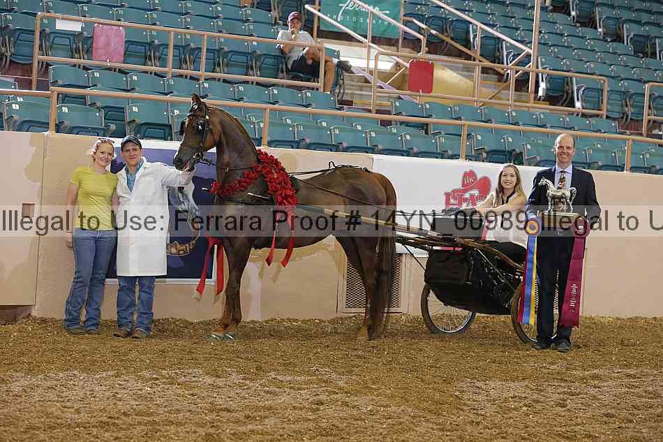 Proof 14yn_00989