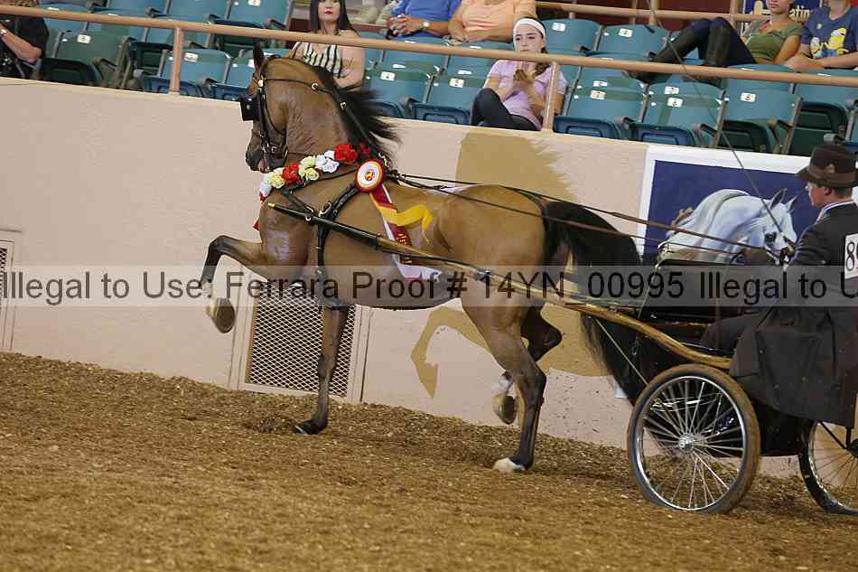 Proof 14yn_00995