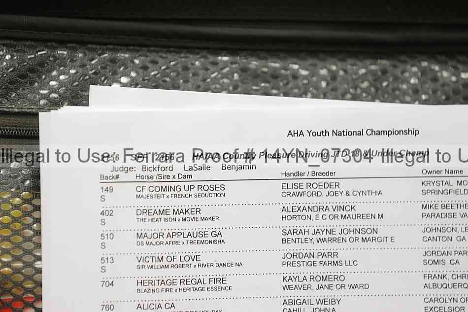 Proof 14yn_07304